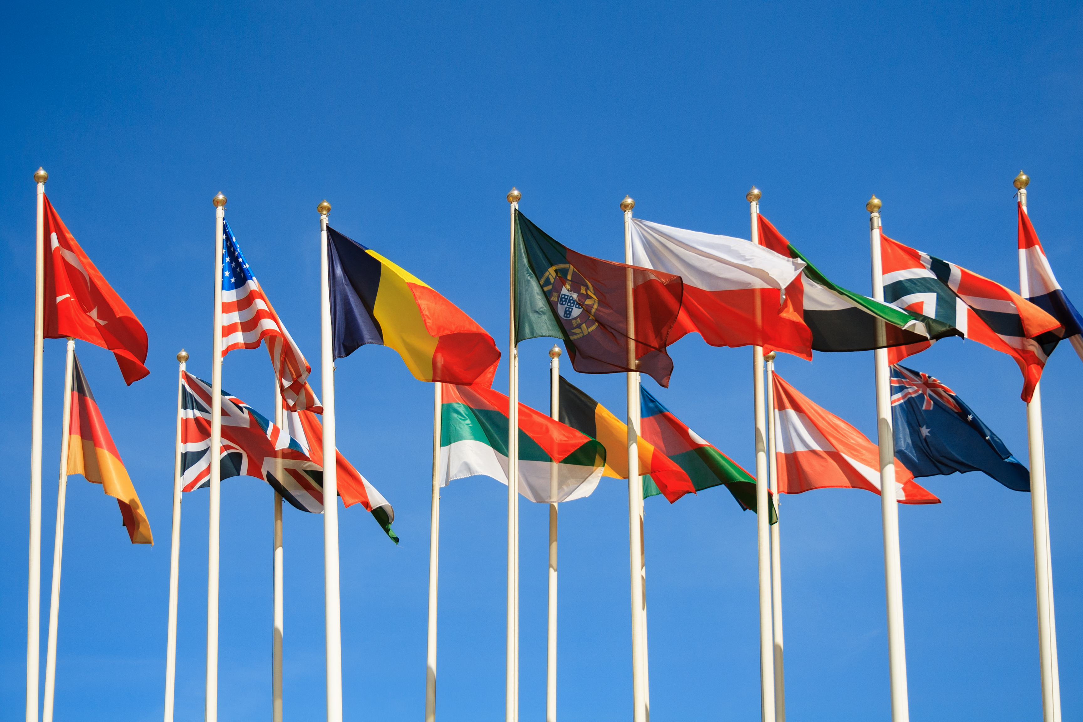 A group of country flags.
