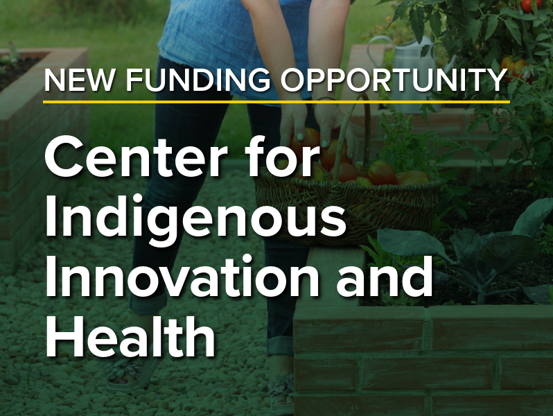 New Funding Opportunity: Center for Indigenous Innovation and Health